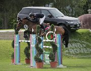 Levy Belle Rock CsioArJYR SS7 8431 : Belle Rock, CSIO Giovani Arezzo, Levy Edward, foto Stefano Secchi ©